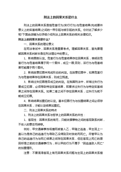 刑法上的因果关系是什么