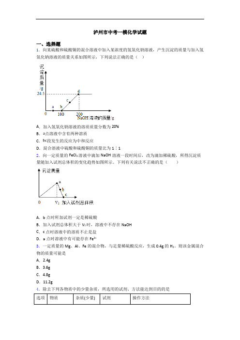 泸州市中考一模化学试题