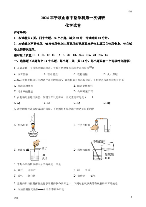 2024河南省平顶山市初三一模化学试题