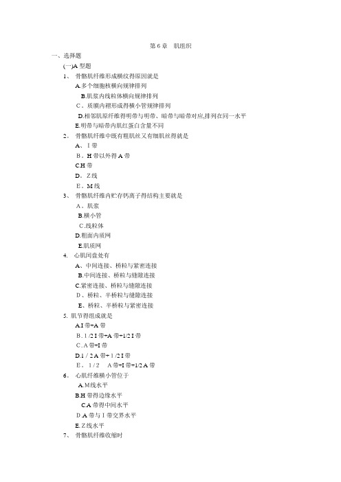 第6章 肌组织
