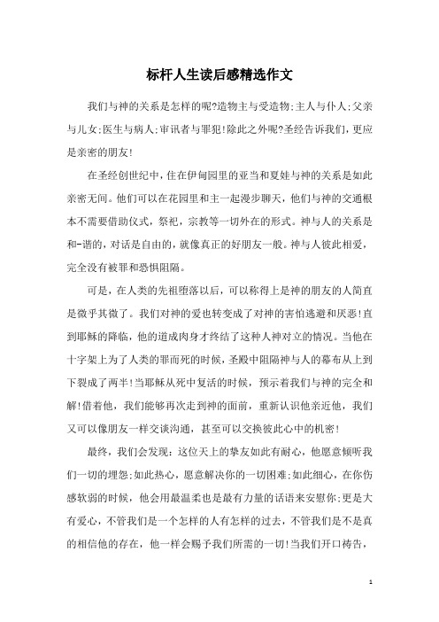 标杆人生读后感精选作文