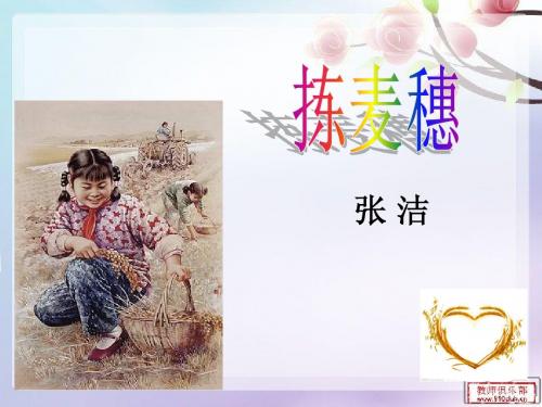 拣麦穗