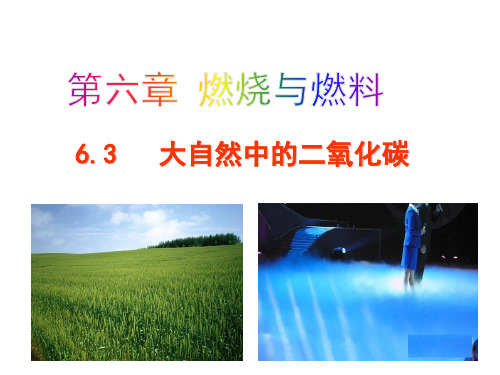 最新鲁教版初中九年级化学上册6-3 大自然中的二氧化碳PPT课件