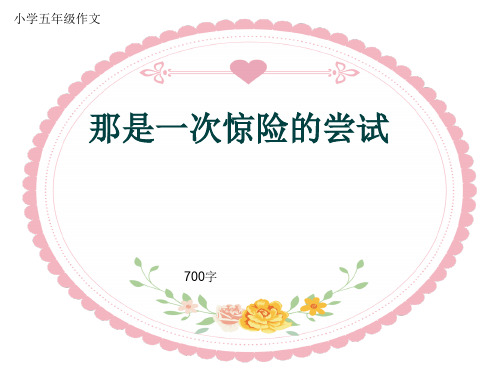 小学五年级作文《那是一次惊险的尝试》700字(共9页PPT)