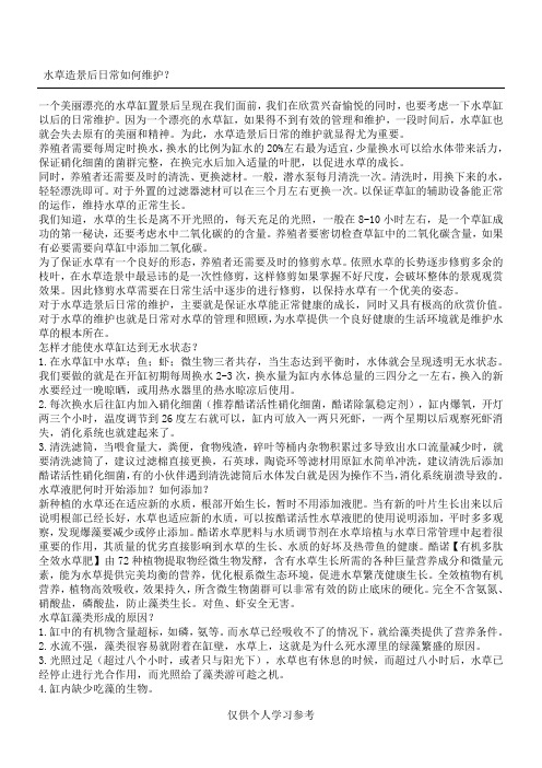 水草造景后如何维护水草缸
