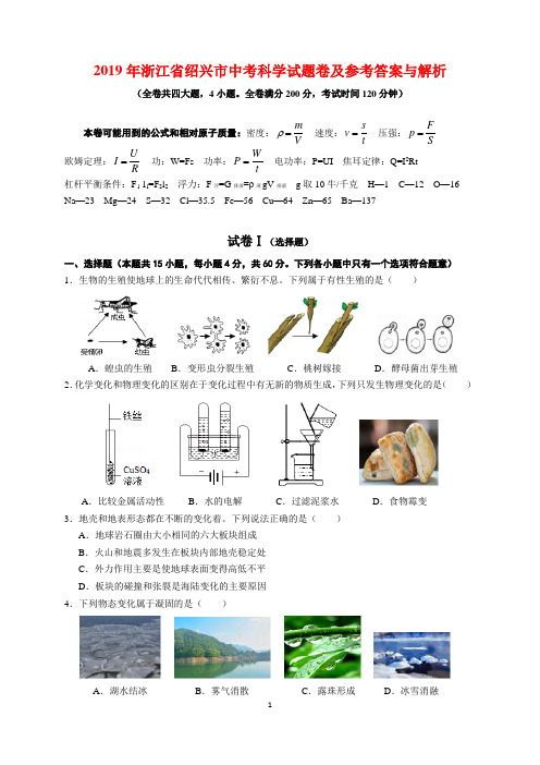 2019年浙江省绍兴市中考科学试题卷及参考答案与解析