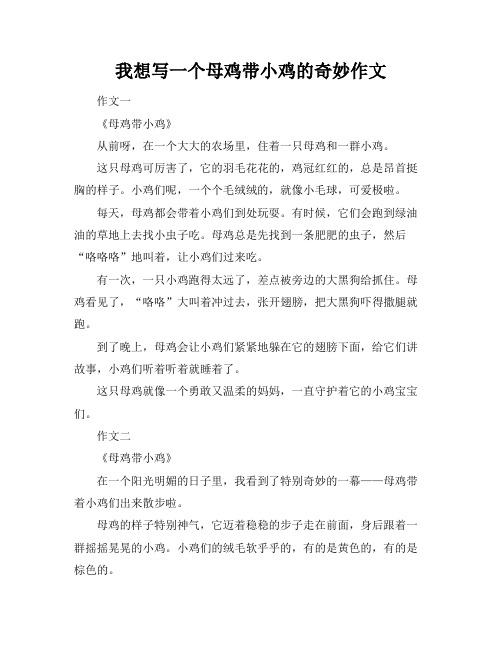 我想写一个母鸡带小鸡的奇妙作文