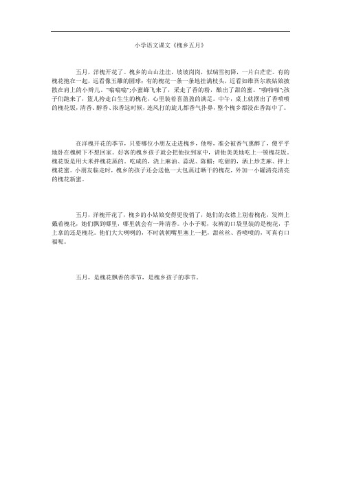 小学语文课文《槐乡五月》