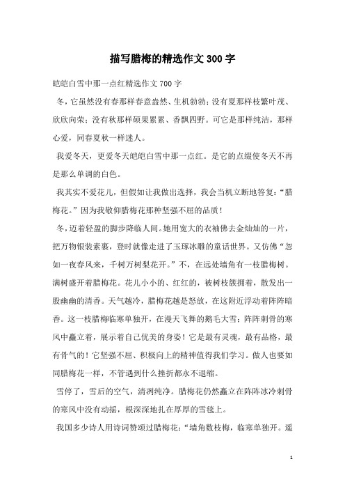 描写腊梅的精选作文300字