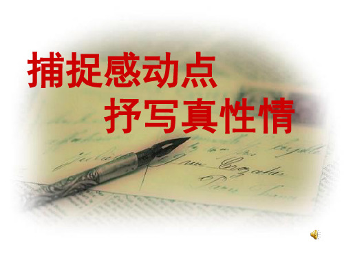 作文-初中作文指导：捕捉感动点,抒写真性情ppt优秀PPT