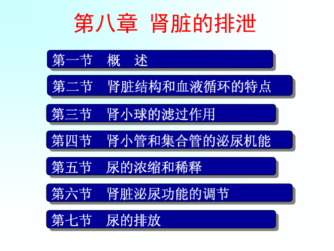 08生理学之第八章肾脏的排泄(66h)