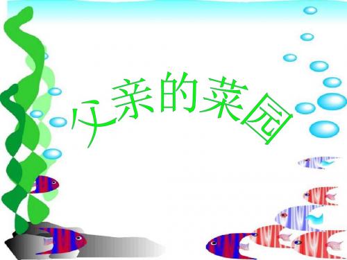 《父亲的菜园-1》PPT课件公开课精品课件