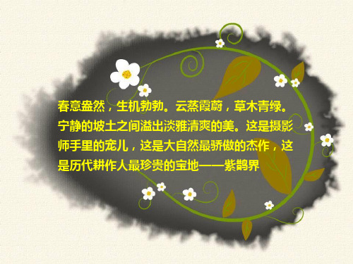 湖南紫鹊界解析