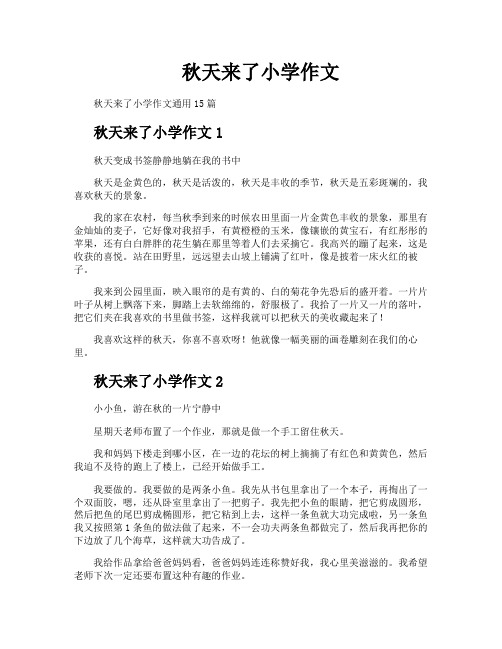 秋天来了小学作文2