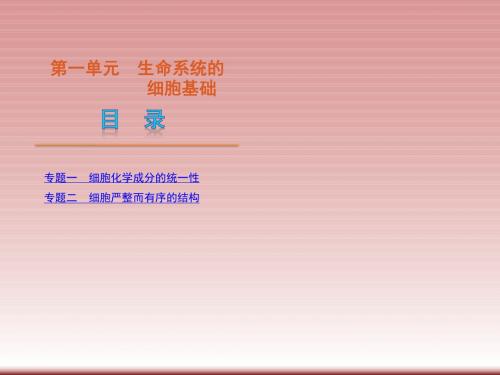 广东省2012高考生物二轮复习生命系统的细胞基础课件