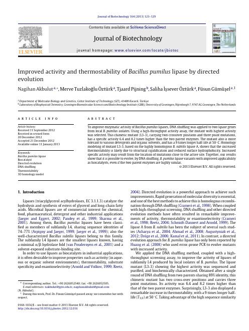 Improved activity and thermostability of Bacillus pumilus lipase by directed