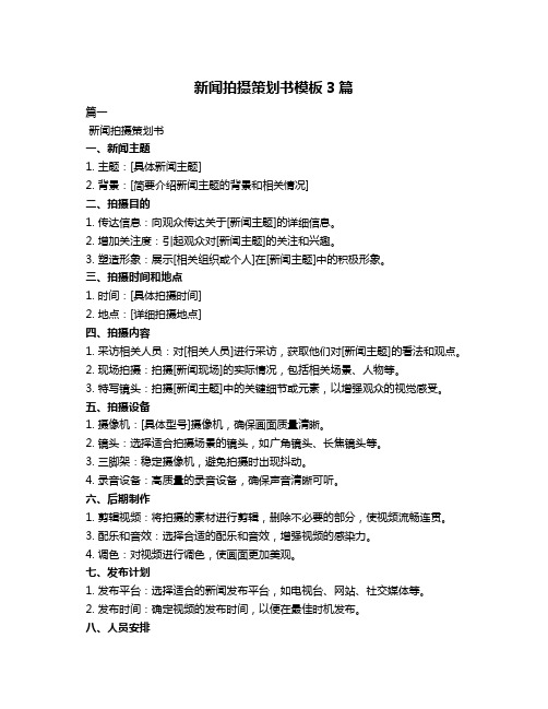 新闻拍摄策划书模板3篇