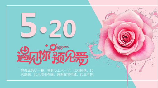 粉蓝玫瑰底图遇见爱预见你浪漫甜蜜告白经典教学课件PPT模板