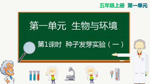 教科版五年级科学上册第1课时 种子发芽实验(一)公开课课件