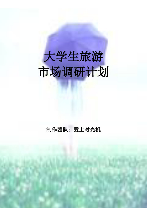 大学生旅游市场调研计划