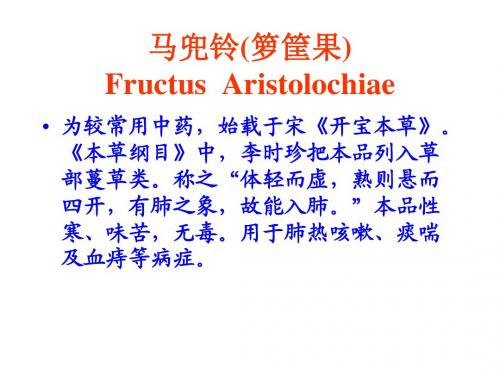 马兜铃