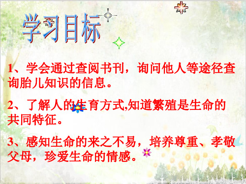 青岛版小学科学教学课件六年级下册《2. 我从哪里来》 6