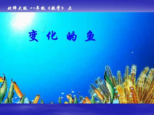 变化的鱼(1)