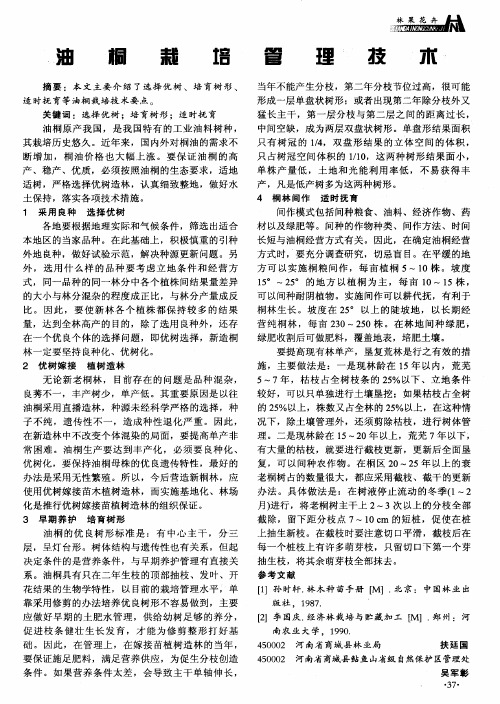 油桐栽培管理技术