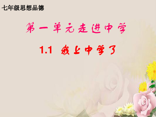 我上中学了ppt优秀课件3 粤教版