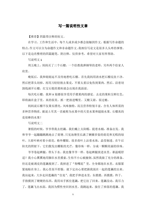 写一篇说明性文章