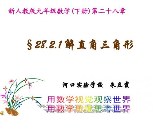 朱立霞解直角三角形3