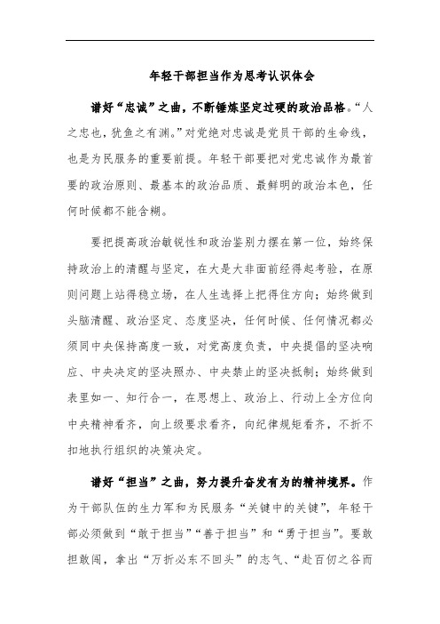 年轻干部担当作为思考认识体会