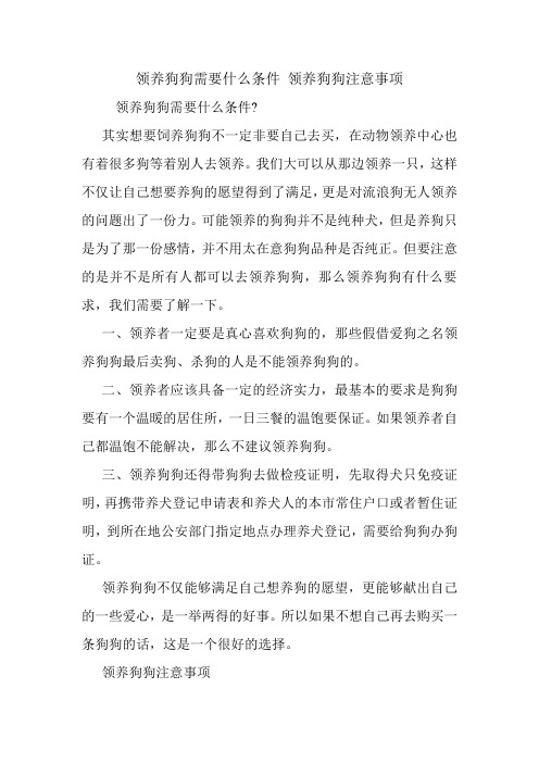 领养狗狗需要什么条件 领养狗狗注意事项