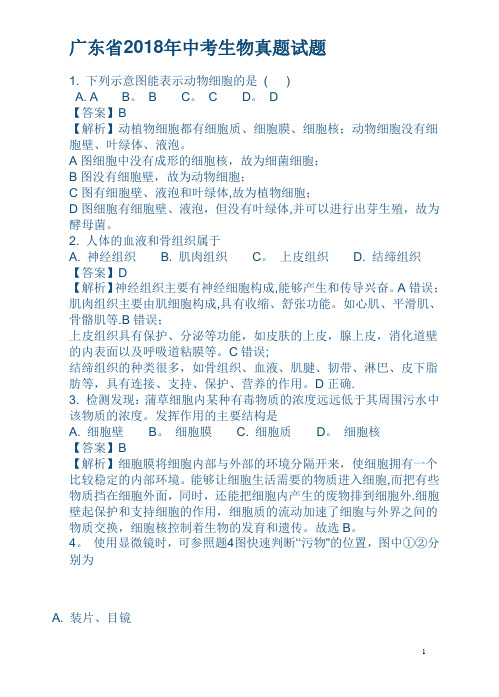 广东省2018年中考生物真题试题及解析