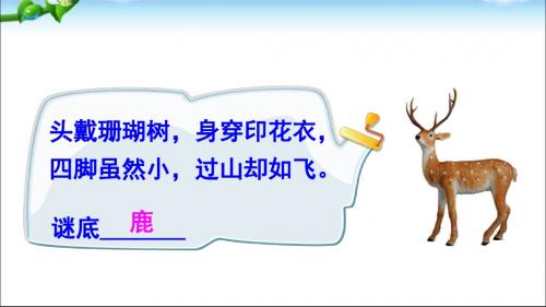 7  鹿角和鹿腿