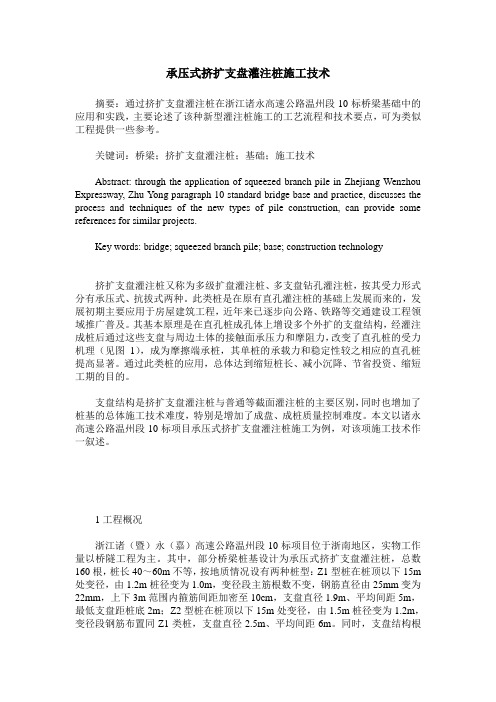 承压式挤扩支盘灌注桩施工技术