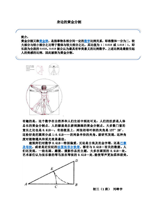 黄金分割简介