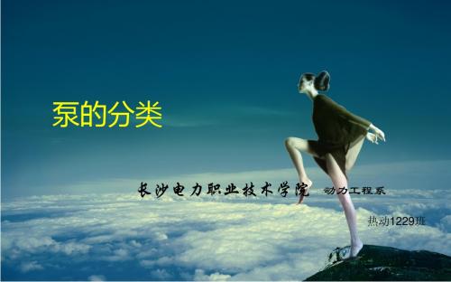 泵的分类