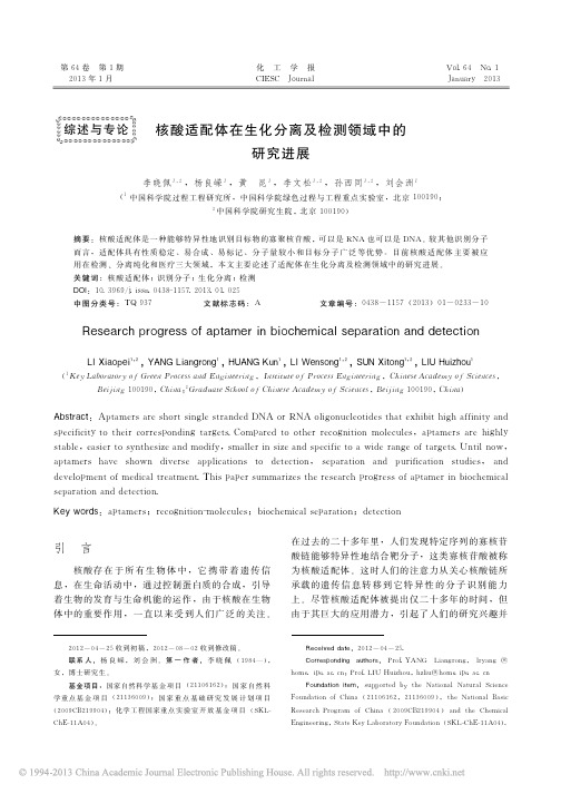 核酸适配体在生化分离及检测领域中的研究进展