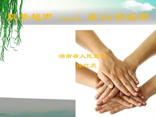 肌骨超声在RA的应用