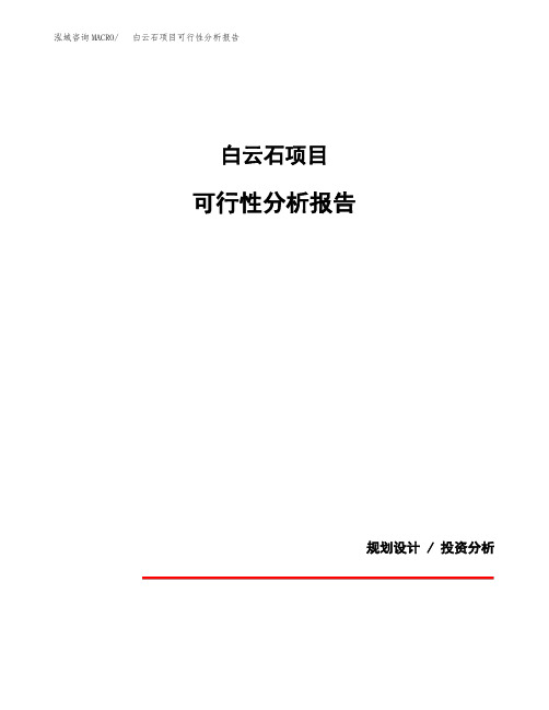 白云石项目可行性分析报告(模板参考范文)