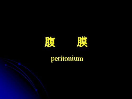 系统解剖学——腹膜