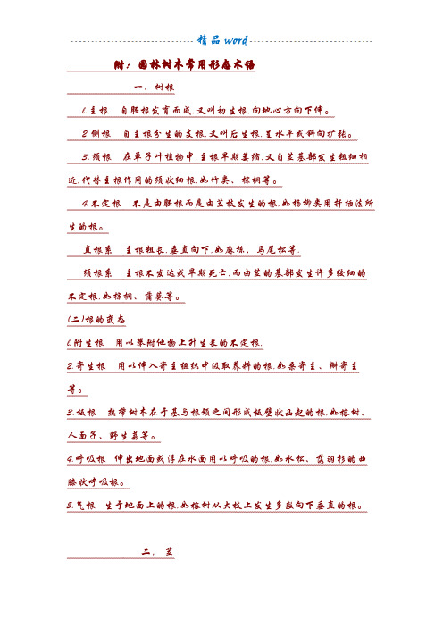 附：园林树木常用形态术语