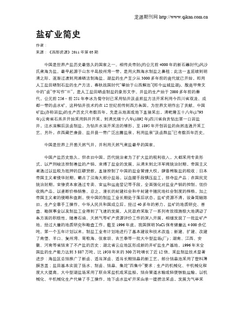 盐矿业简史