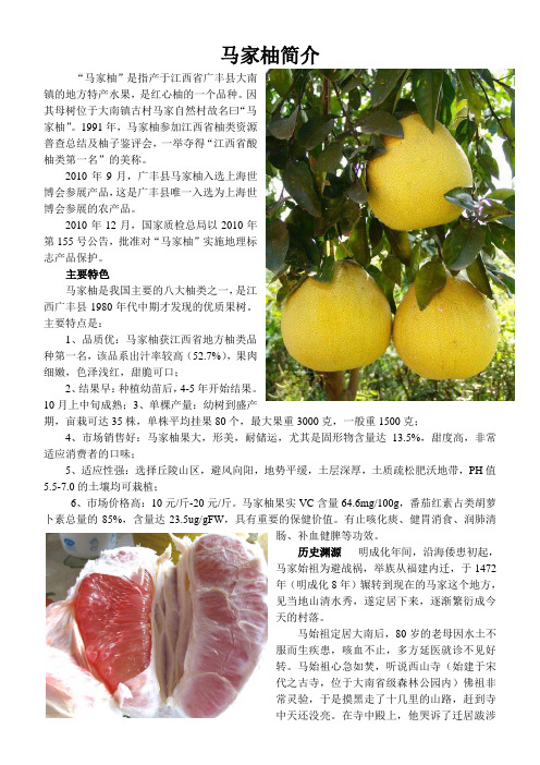 马家柚简介