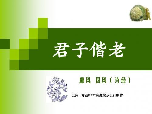 蒙彼绉絺是绁袢也子之清扬-君子偕老(鄘风)