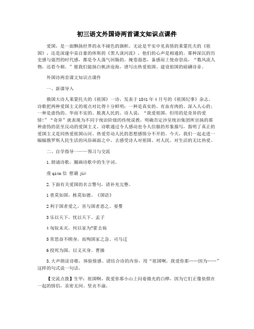 初三语文外国诗两首课文知识点课件