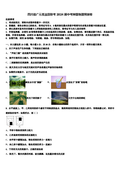 四川省广元苍溪县联考2024届中考押题物理预测卷含解析