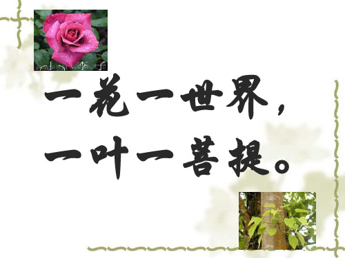 原创 市级公开课 《可以预约的雪》林清玄 上课课件