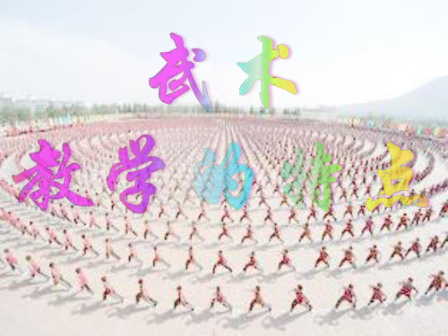 武术教学特点